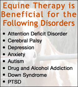 Equine Therapy Disorders
