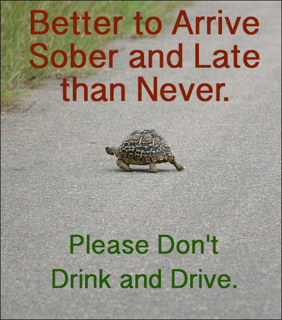 Roadside DUI Tests Don't Drink and Drive