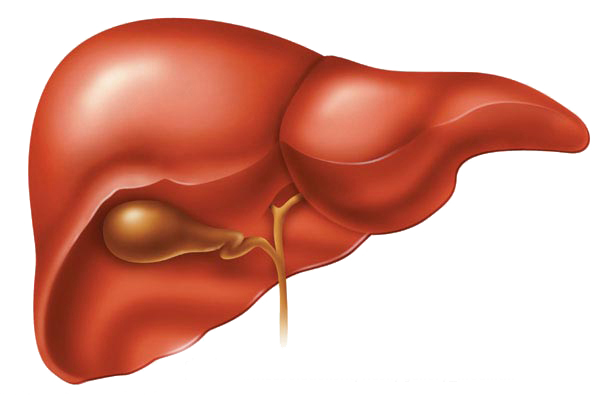 Alcohol abuse liver complications