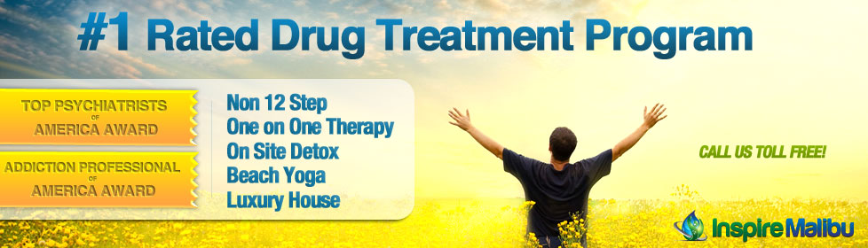 Drug Treatment Program
