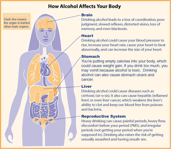 How Alcohol Effects Your Body 