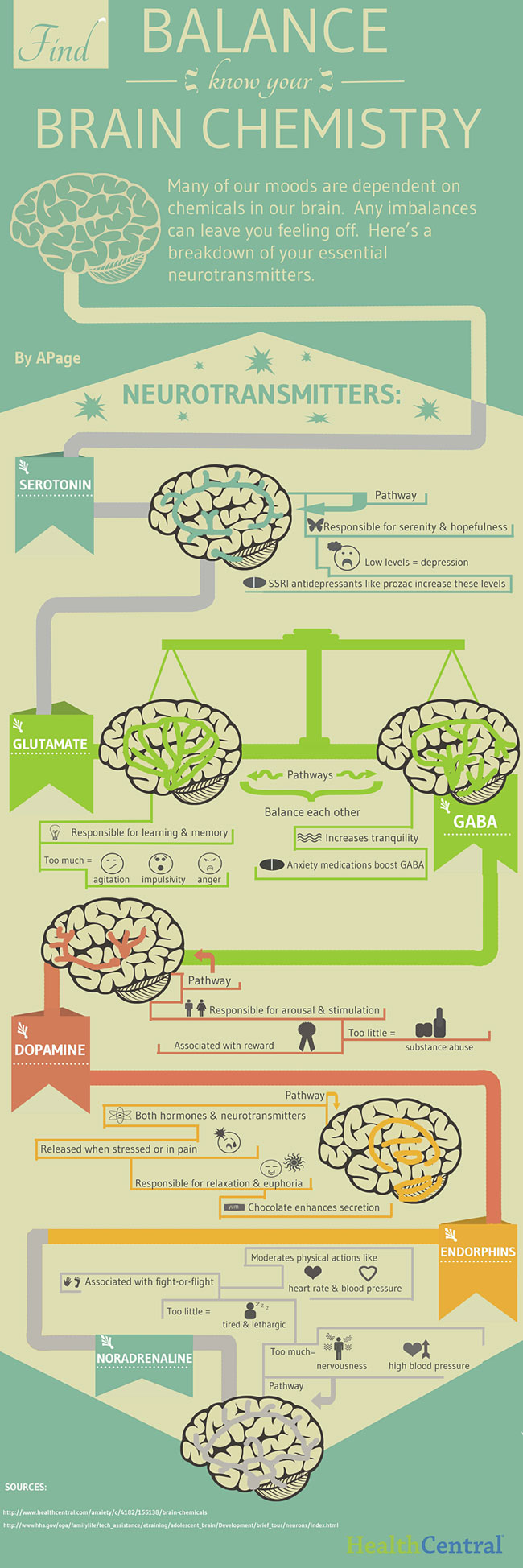 Neurotransmitters Balance Our Brain Chemistry