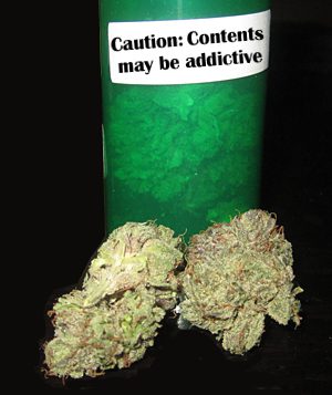 The Straight Dope: Cannabis Use Disorder, Intoxication And Withdrawal