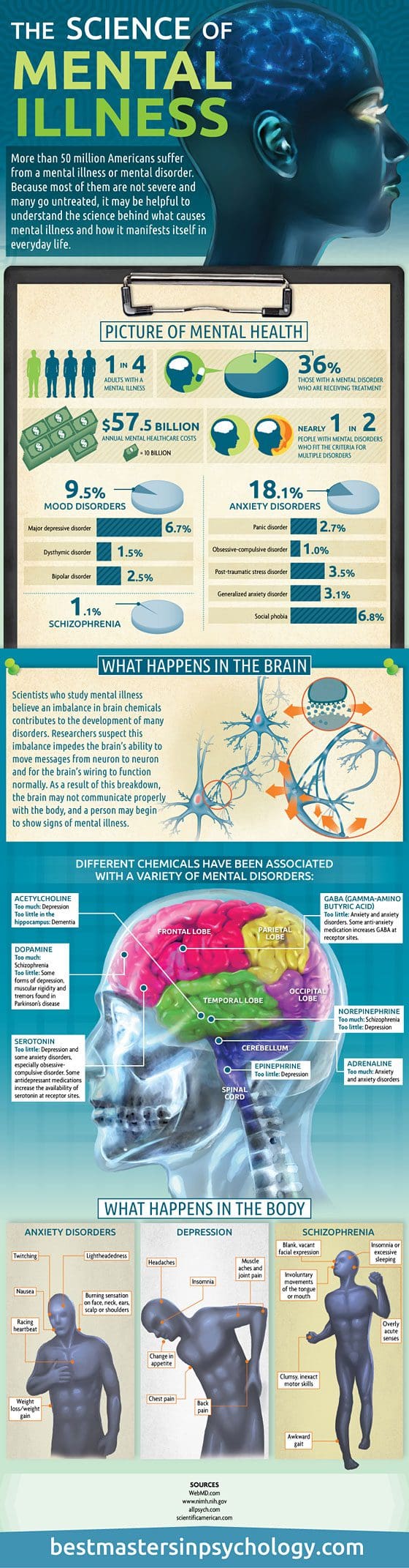 Mental Illness Statistics