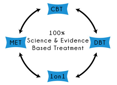 treatment model