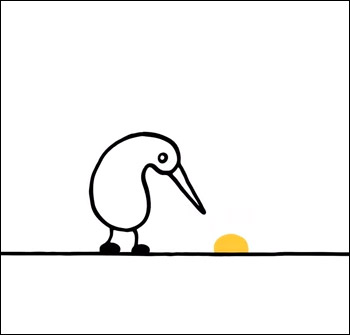 Nuggets Kiwi Animation