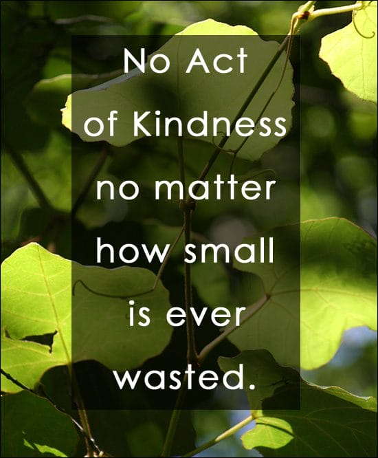Act of Kindness