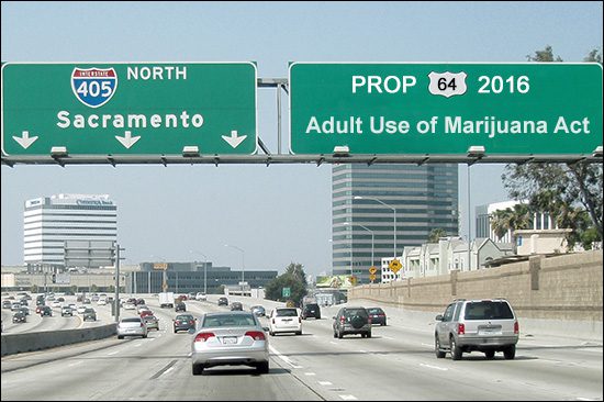 California's Adult Use of Marijuana Act - Will it Pass This Time Around?
