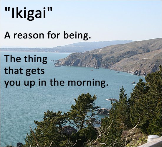Ikigai - Discovering Your Passion and Purpose