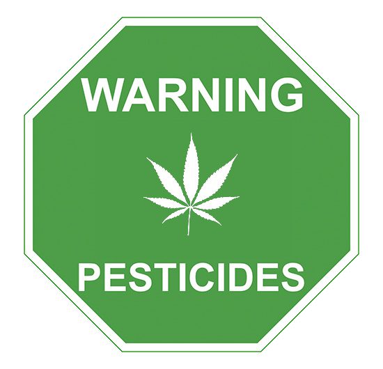 Legalized Marijuana Might Go Up in Smoke From Pesticides and Politics