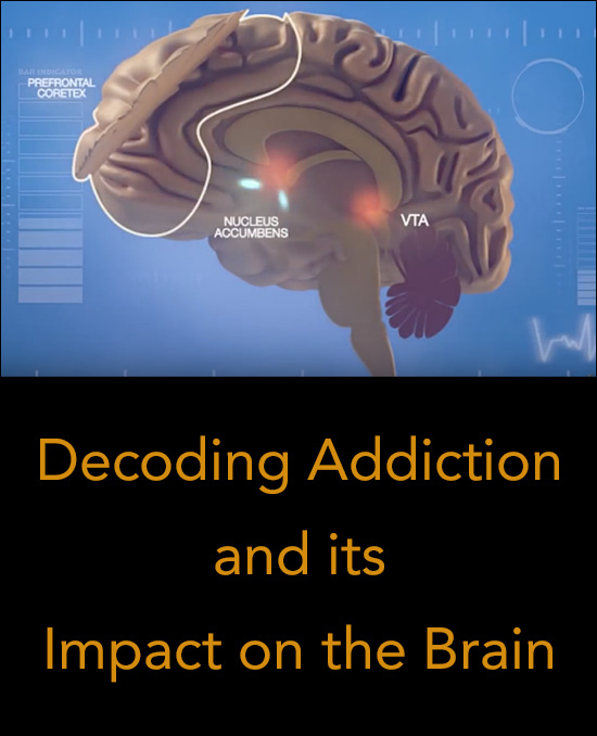 Addiction Impact on the Brain