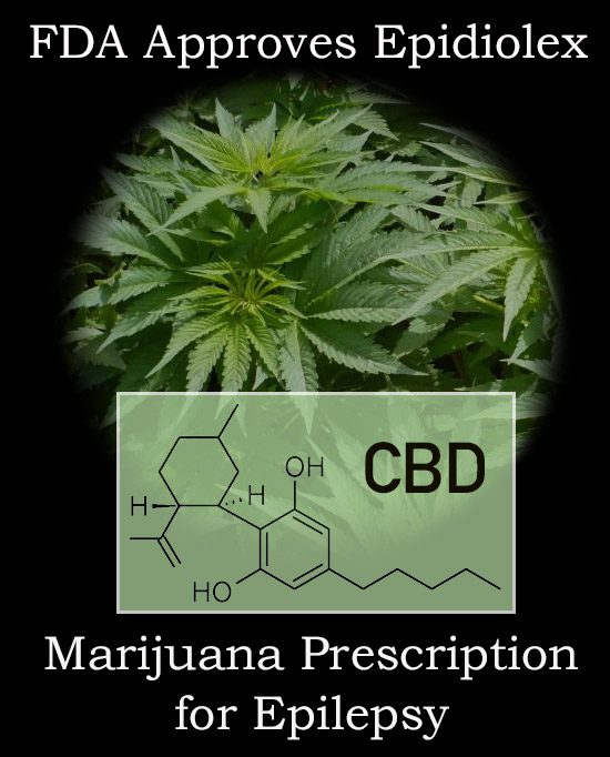 FDA Approves Epidiolex as a Marijuana Prescription for Epilepsy