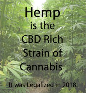 Hemp is the CBD Rich Strain of Cannabis that Congress Legalized in 2018