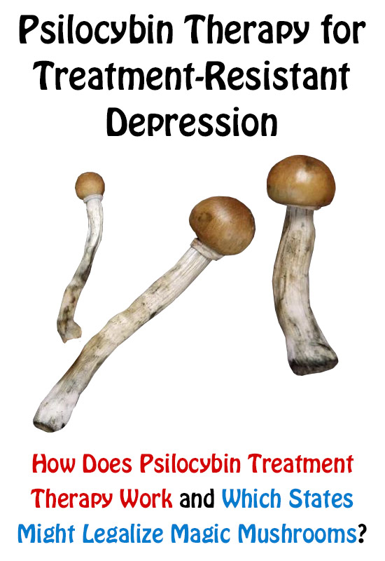Psilocybin Therapy Treatment With Mushrooms