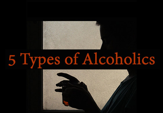 What are the 5 Alcoholic Subtypes?