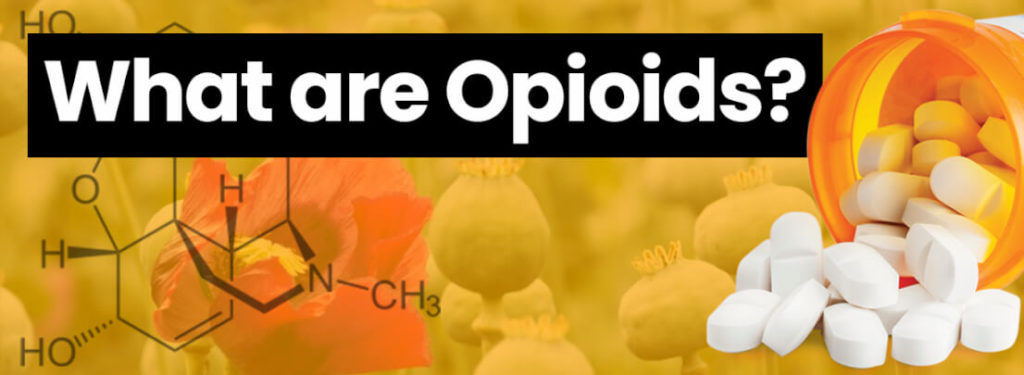 Opioid Detox | What are Opioids?
