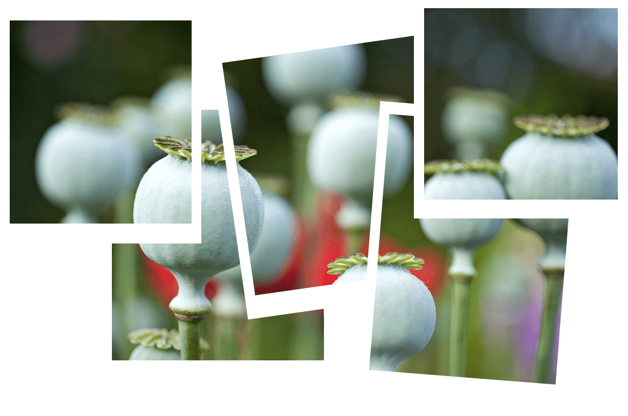 Opiate Addiction Treatment Center
