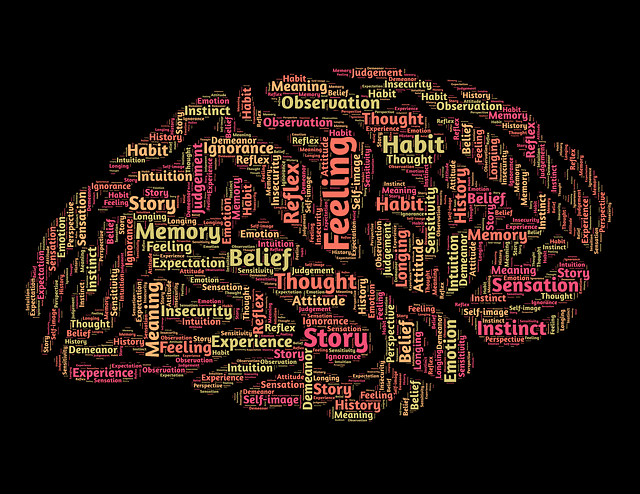 Mindset Behavioral Health