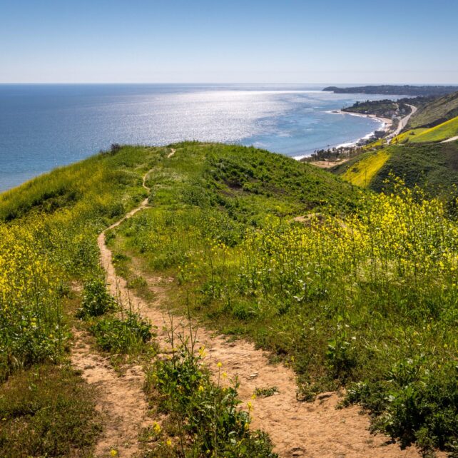 Inspire Malibu