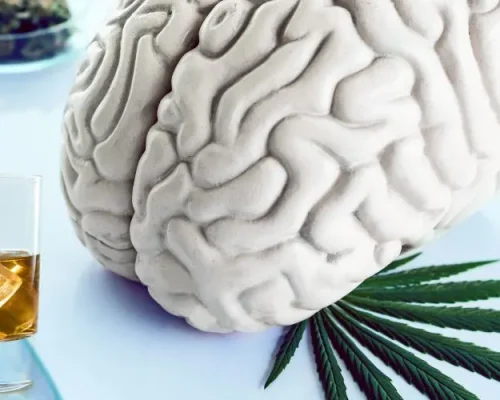 Substance Use Affects the Brain